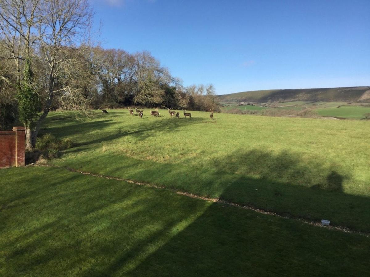 Вилла Yards Brake On 40 Acres Of Private Land Langton Matravers Экстерьер фото